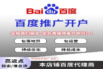 百度推广费用优化策略：成功案例分享